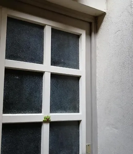 Les Grenouilles Apartamento