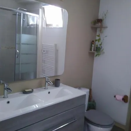 Les Grenouilles Apartment *