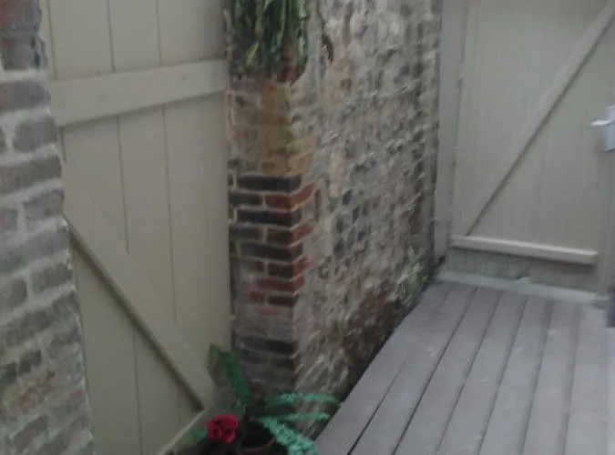 Les Grenouilles 翁弗勒尔