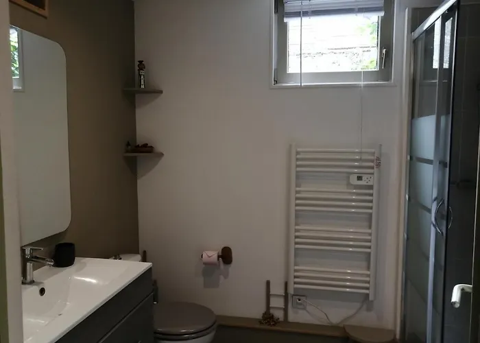 Les Grenouilles 公寓 *